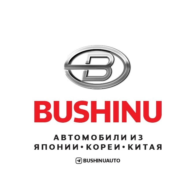 BUSHINUAUTO — канал в мессенджере MAX