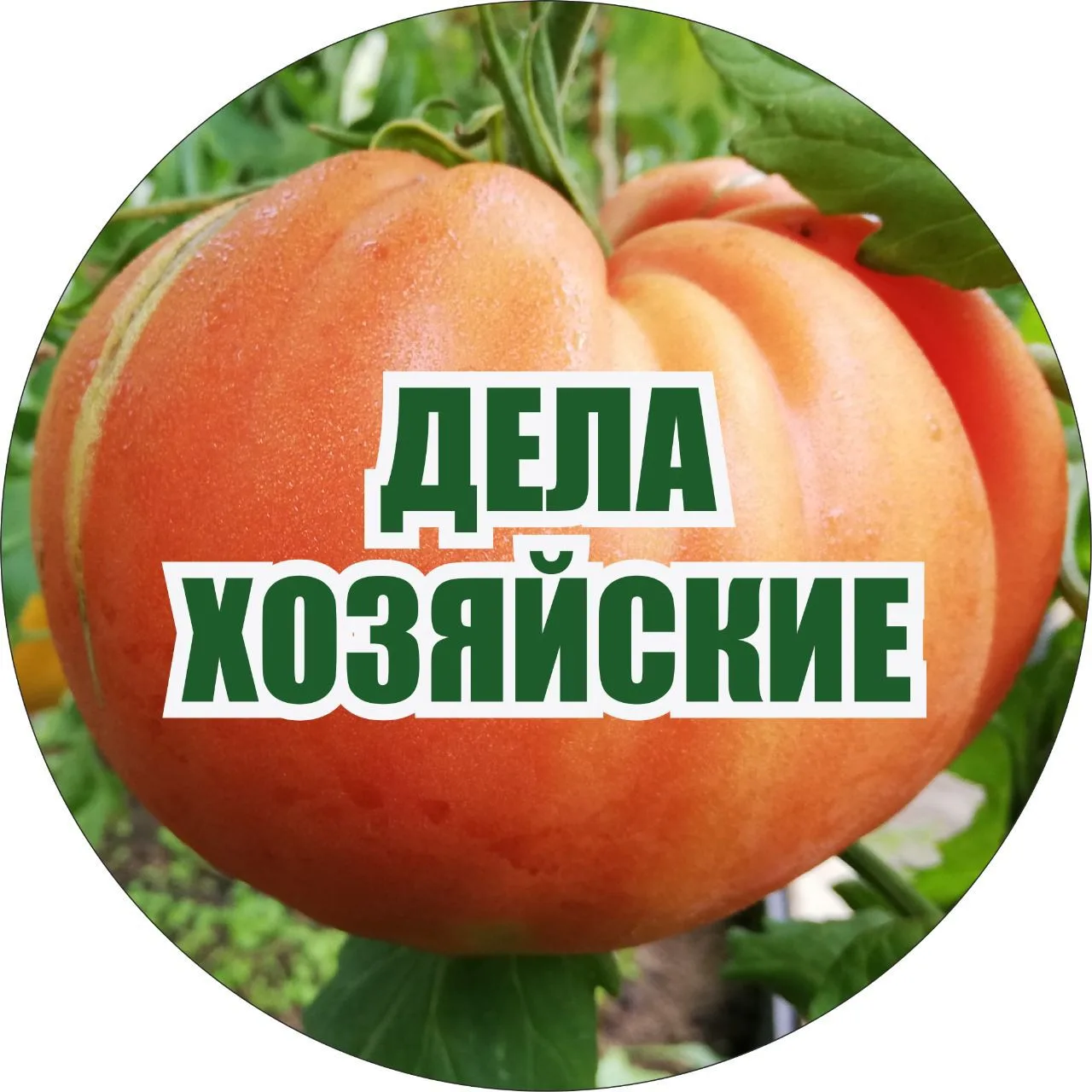 Дела Хозяйские — канал в мессенджере MAX