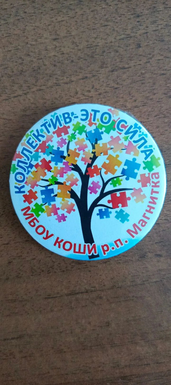 МБОУ КОШИ р.п. Магнитка