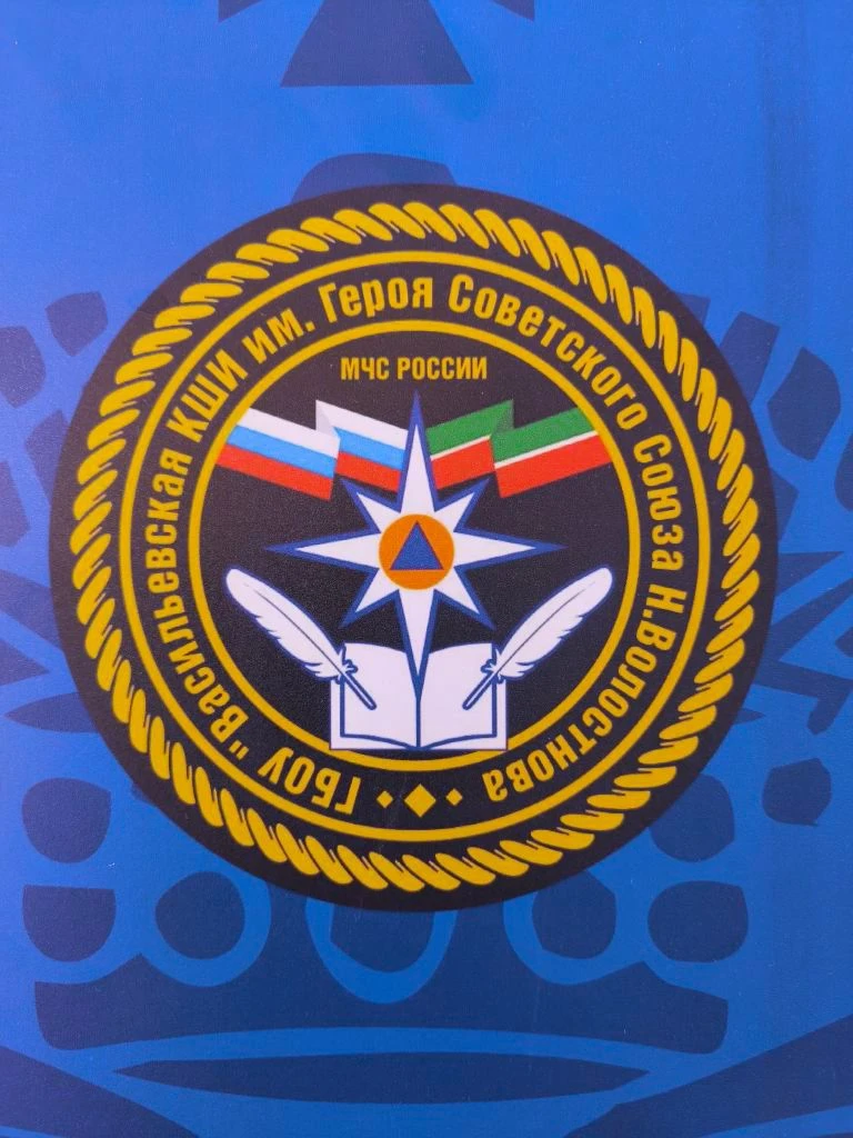 ГБОУ "Васильевская КШИ им. Героя Советского Союза Н. Волостнова" — канал в мессенджере MAX