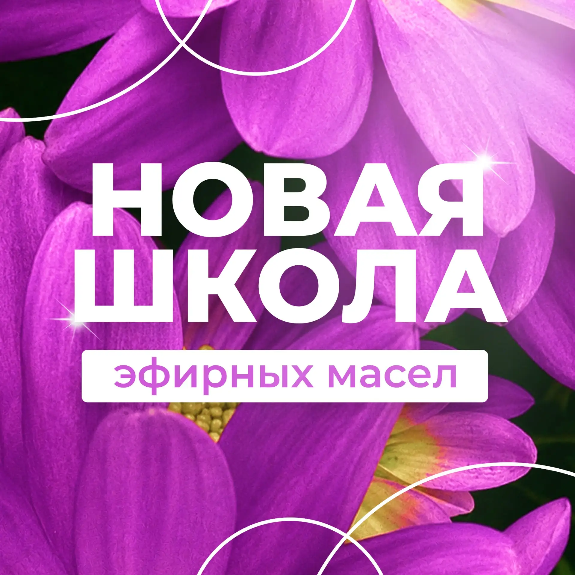 Новая школа эфирных масел Натальи Шульги — канал в мессенджере MAX