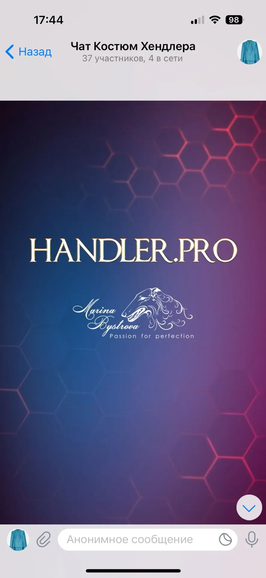 Handler.pro Хендлинг и груминг | Марина Быстрова — канал в мессенджере MAX