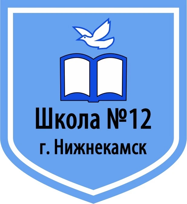Школа №12 г.Нижнекамск РТ