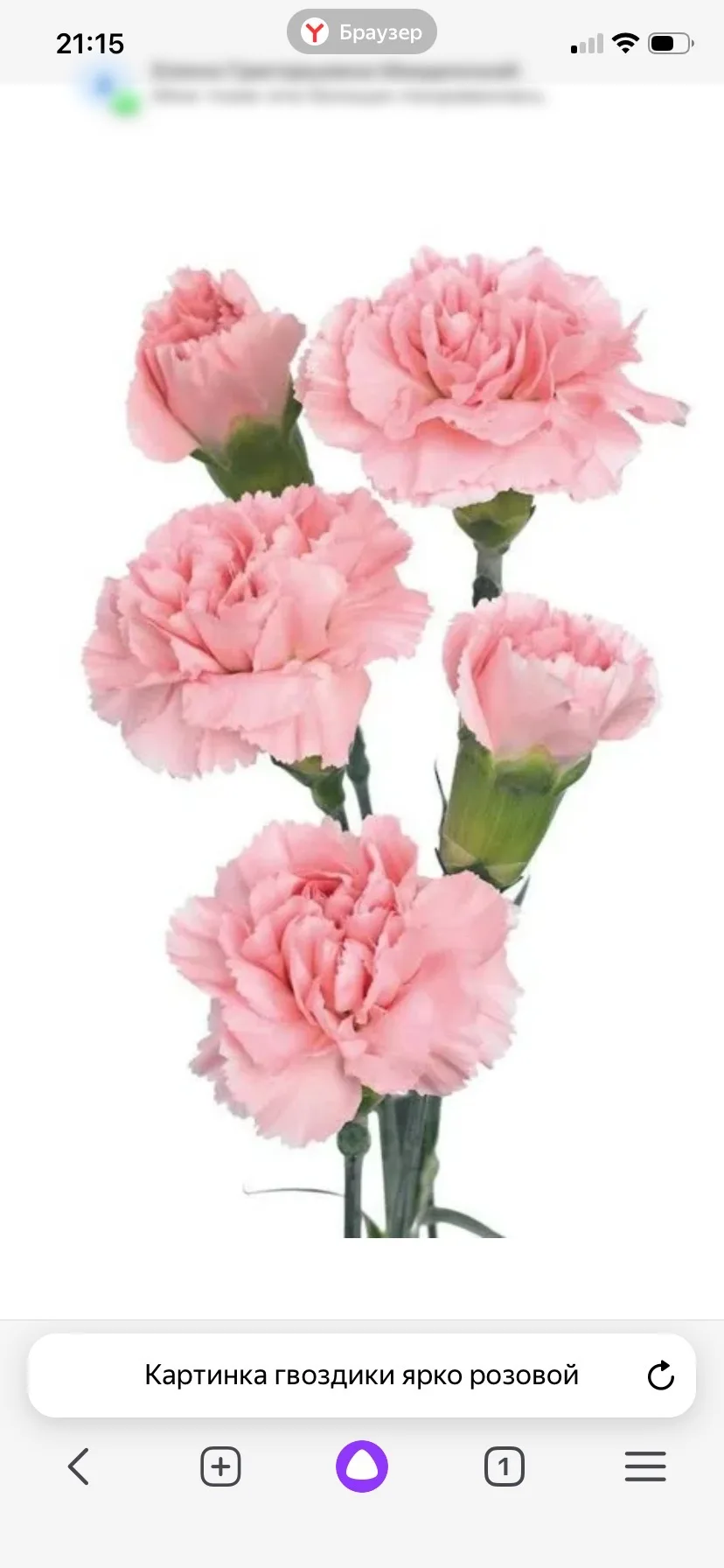 МДОУ Детский сад № 38 «Гвоздика»