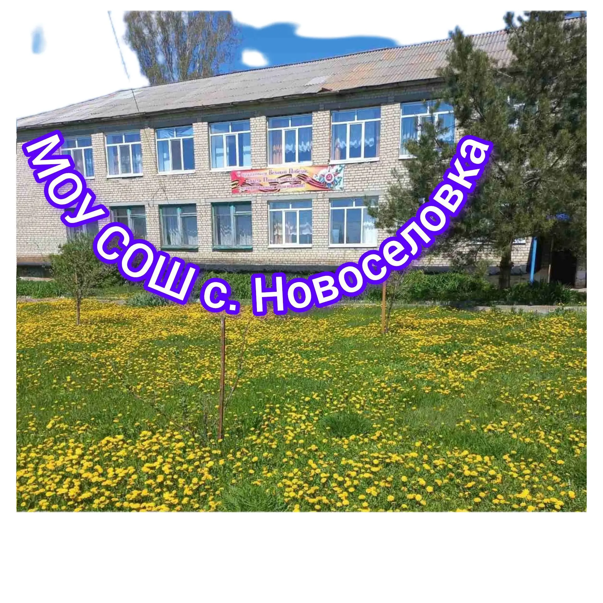 МОУ СОШ с. Новоселовка Екатериновского района Саратовской области