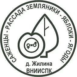 ВНИИСПК Реализация. — канал в мессенджере MAX