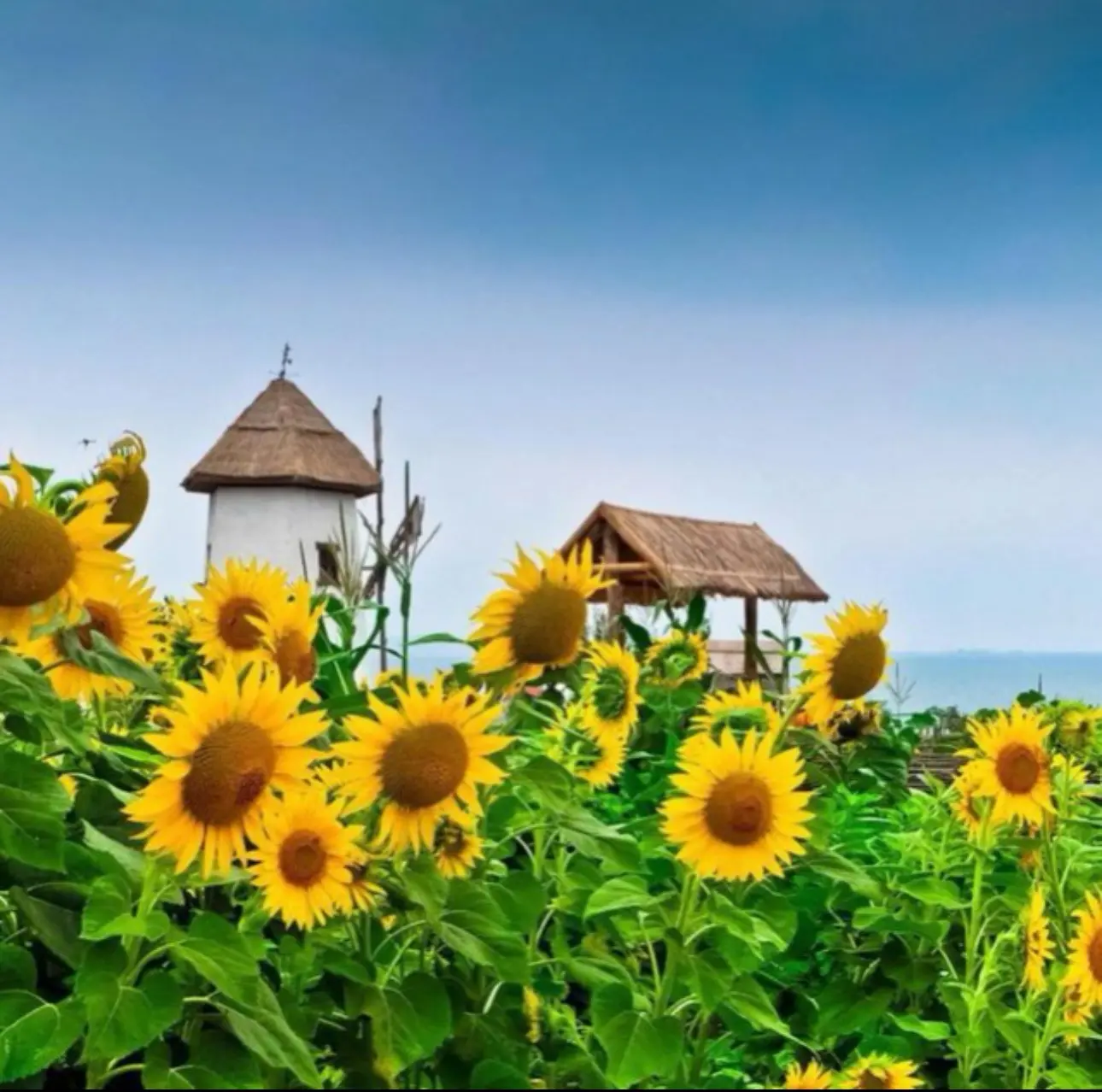 Логотип канала