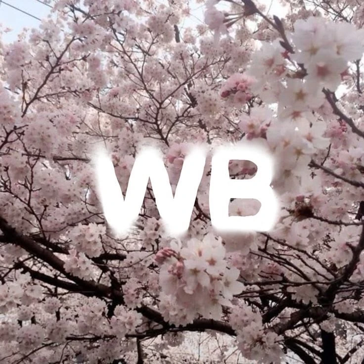 Wildberries 24/7 — канал в мессенджере MAX