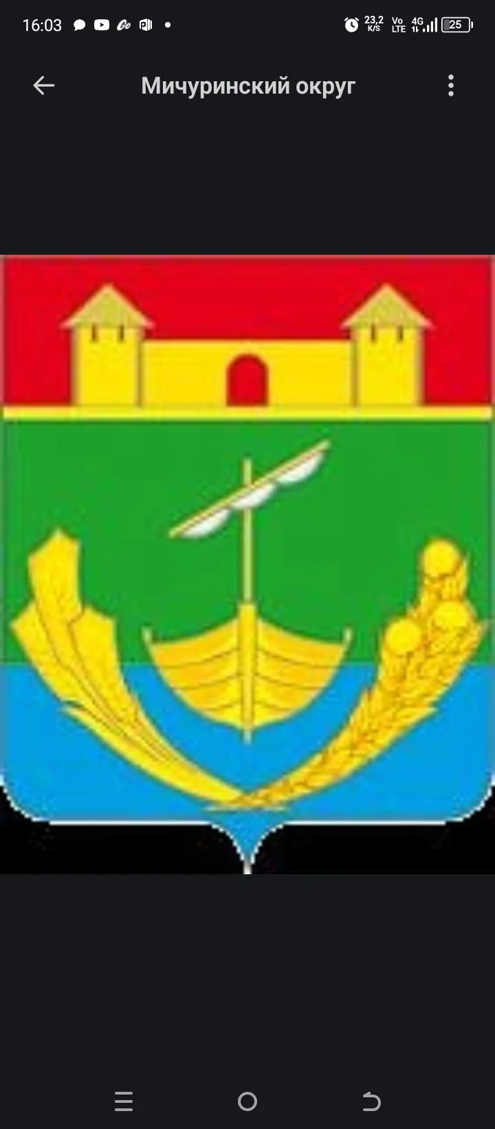 КРК Мичуринского МО
