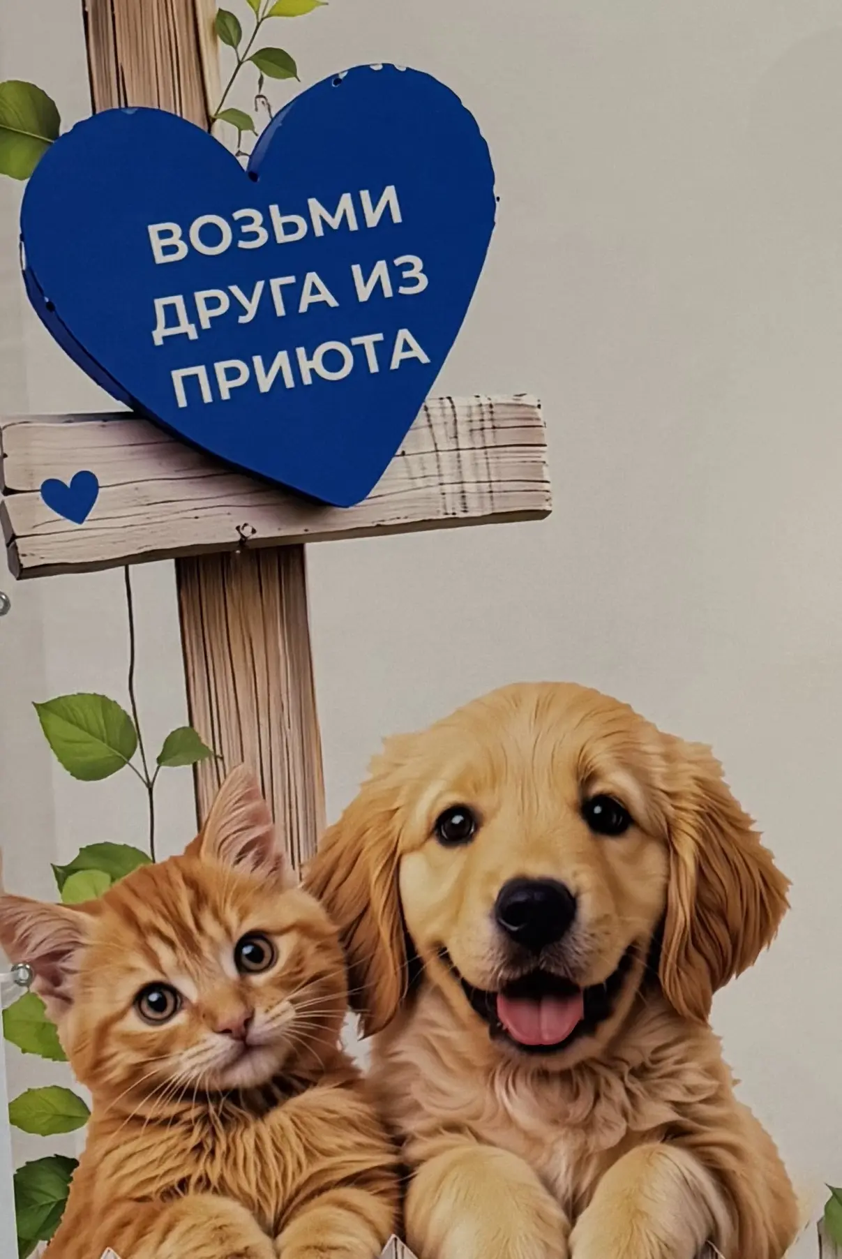 МКУ "УГХ" ГороДог — канал в мессенджере MAX