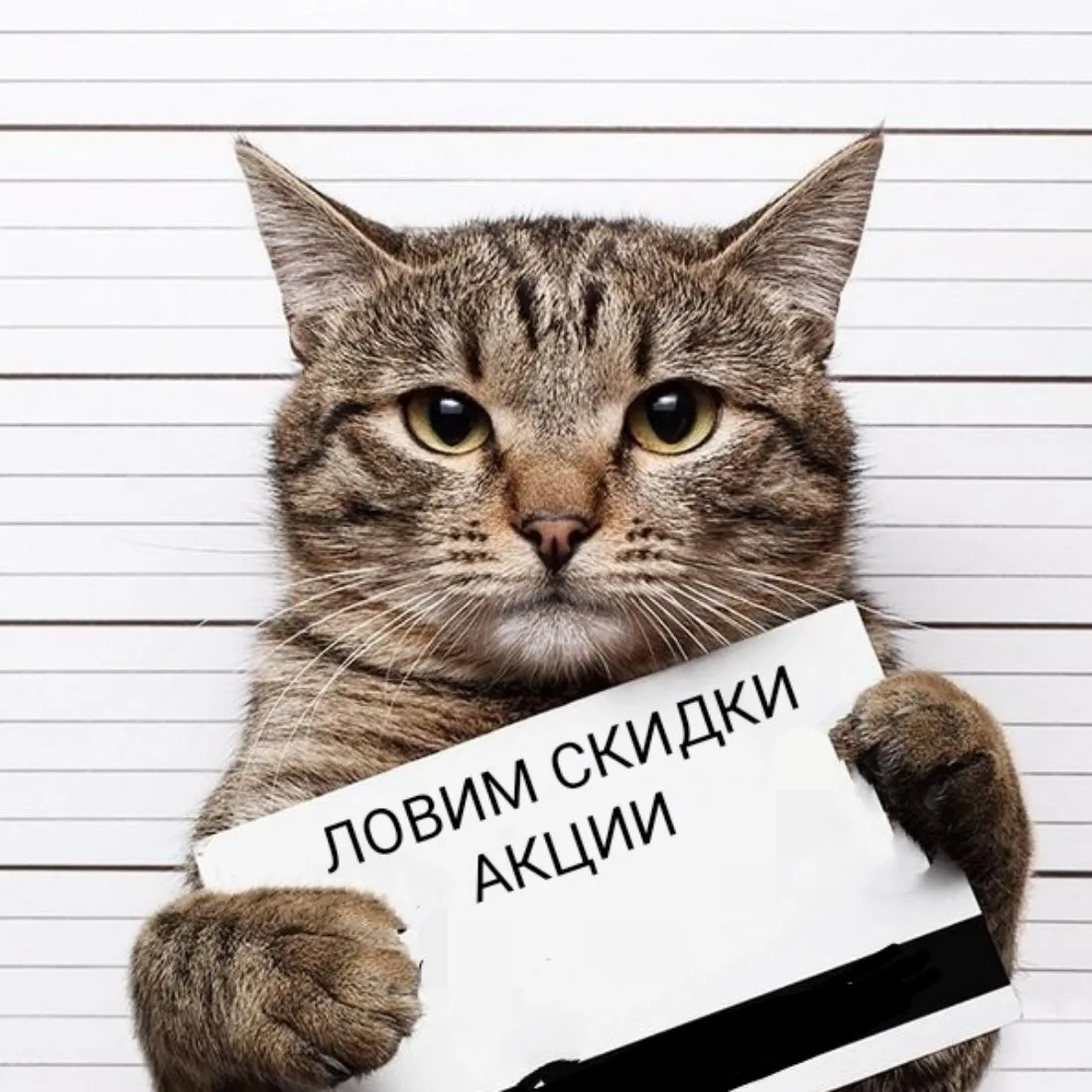 ЯнМаркет WB и другие ЛОВИМ СКИДКИ АКЦИИ — канал в мессенджере MAX
