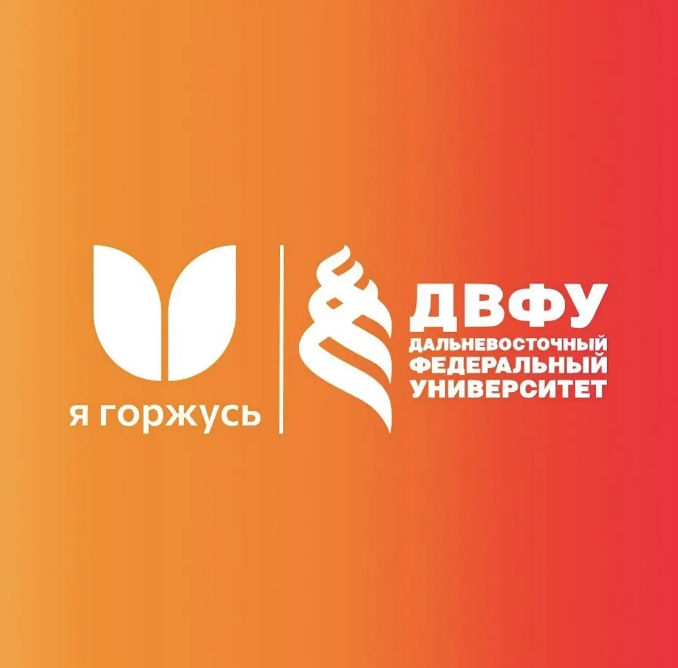 «Я горжусь» ДВФУ — канал в мессенджере MAX