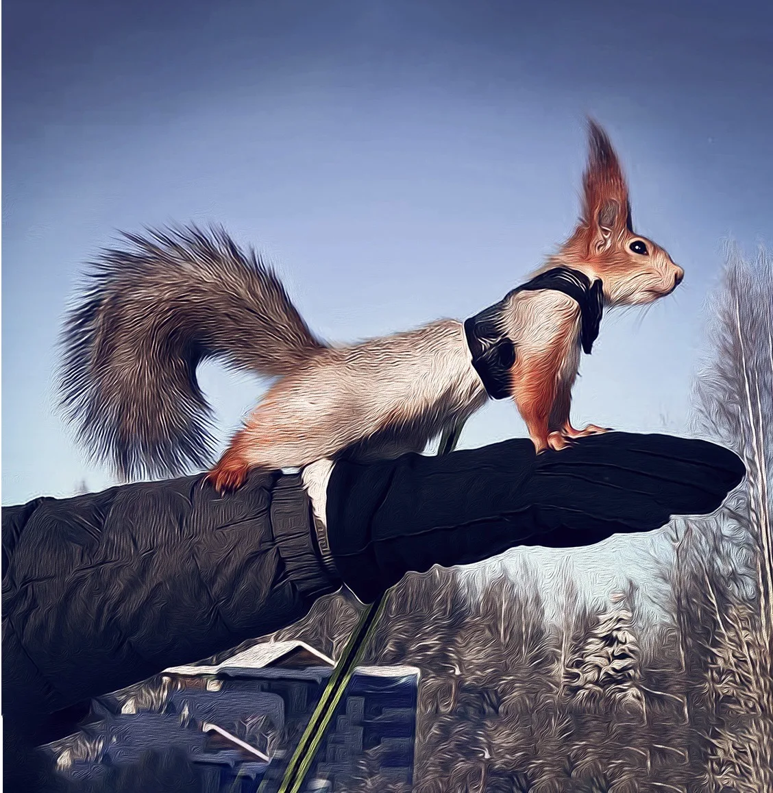 Белка Уля - Belka.Ulya