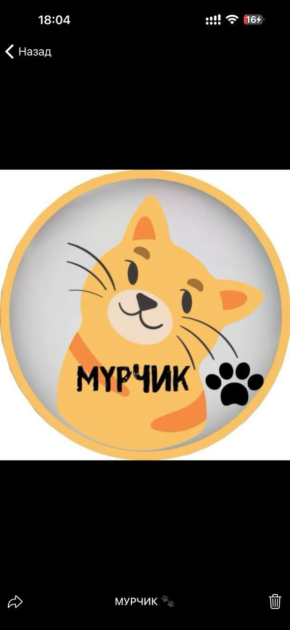 Мурчик 🐱/Котики/Пушистики/Животные/Юмор» — канал в мессенджере MAX