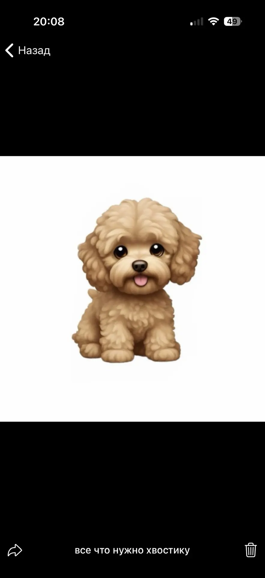 Мальтипу maltipoo_puppy_live — канал в мессенджере MAX