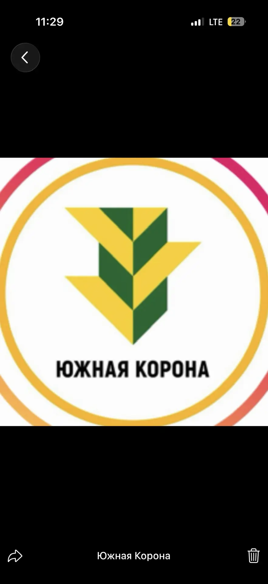 Южная Корона — канал в мессенджере MAX