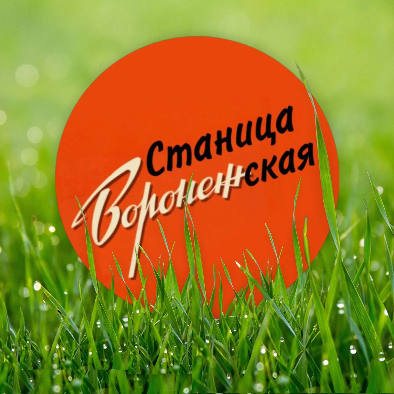 Станица Воронежская — канал в мессенджере MAX