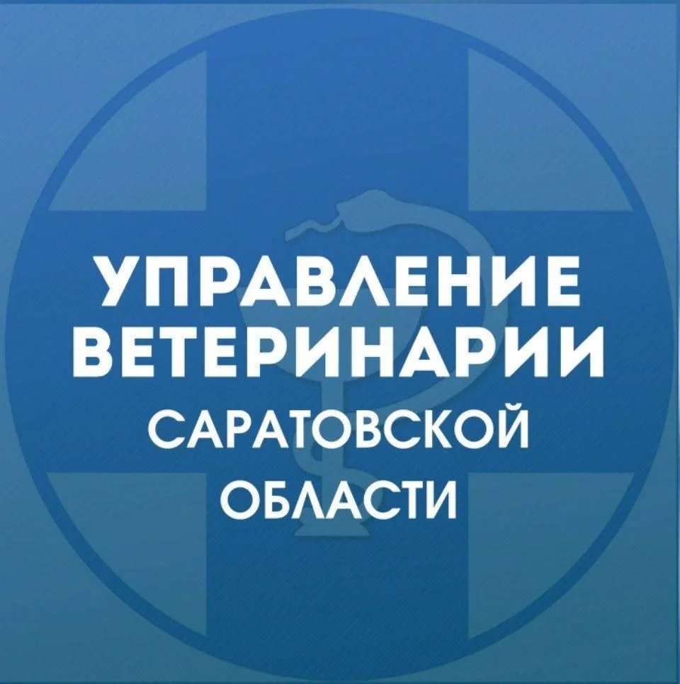 Управление ветеринарии Саратовской области — канал в мессенджере MAX