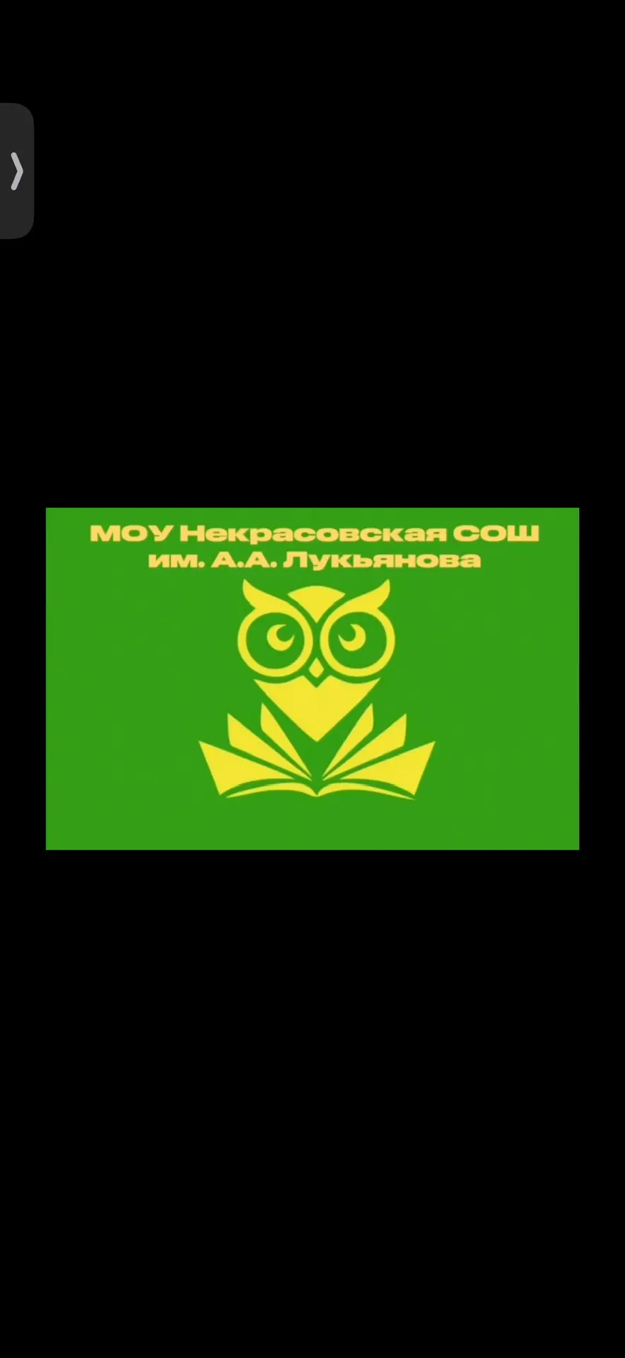 МОУ "Некрасовская СОШ им. А.А. Лукьянова" — канал в мессенджере MAX