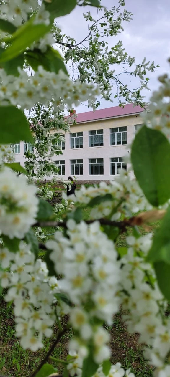 СОШ с.Маскара им. Н.А.Самигуллина