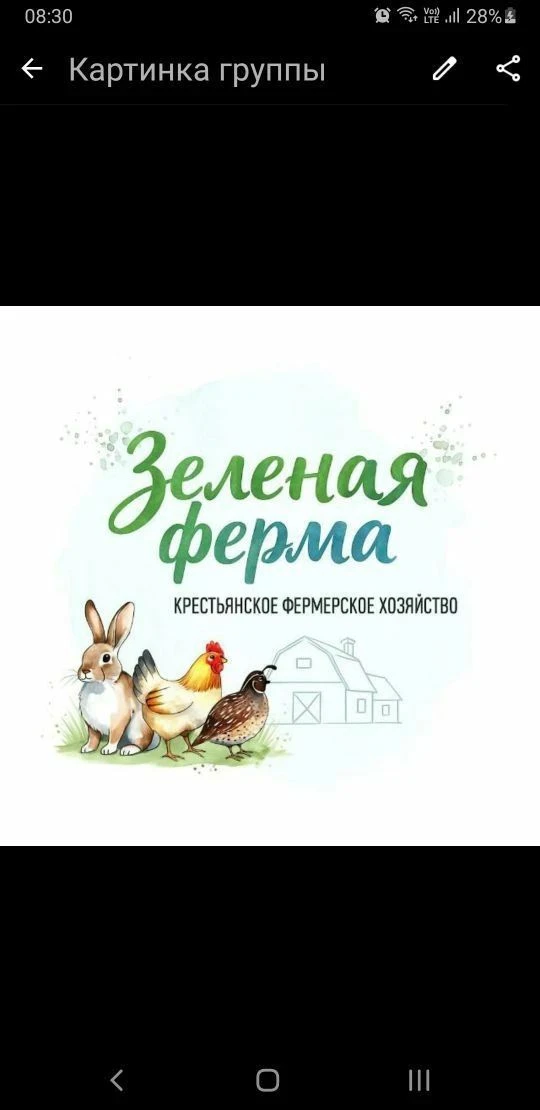 КФХ "Зелёная Ферма" Томская обл., пос. Копылово — канал в мессенджере MAX