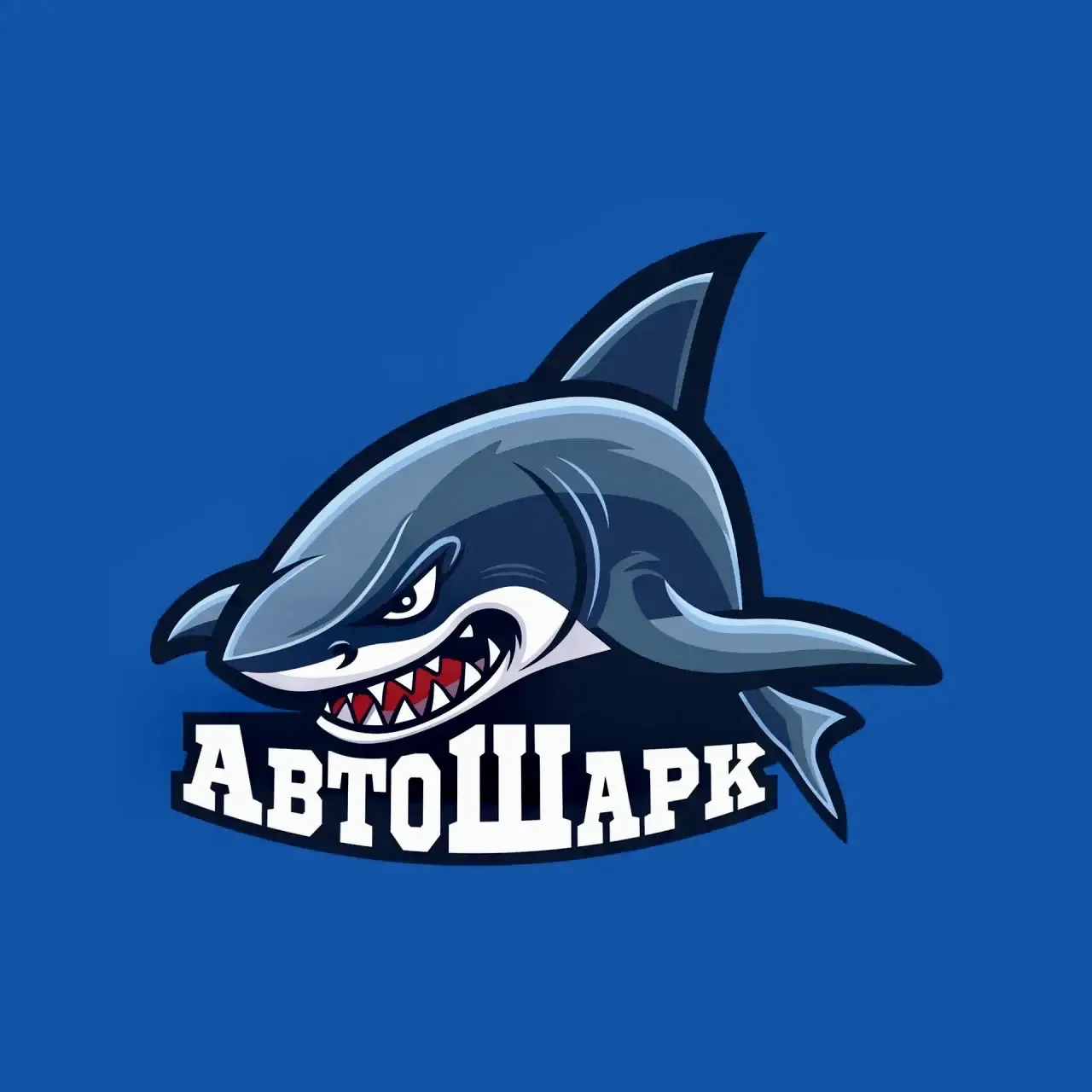 АВТОШАРК | МАГАЗИНЫ