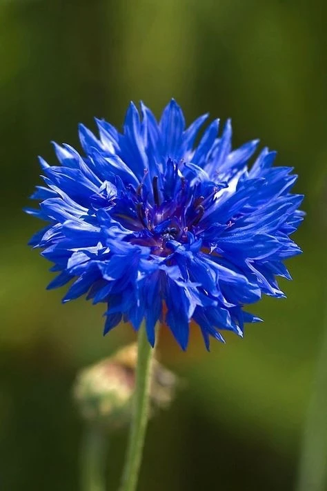 МДОАУ- 124 г. Орск