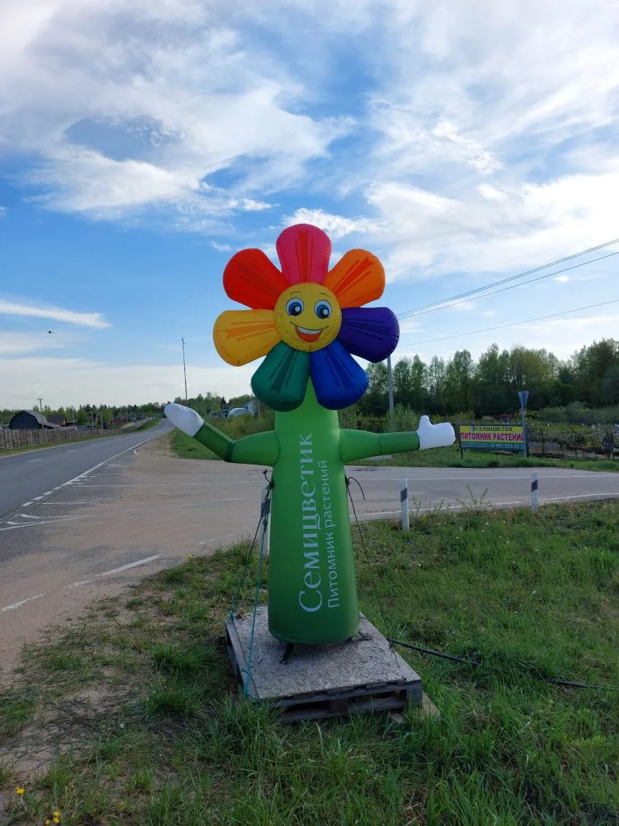 Питомник растений Семицветик