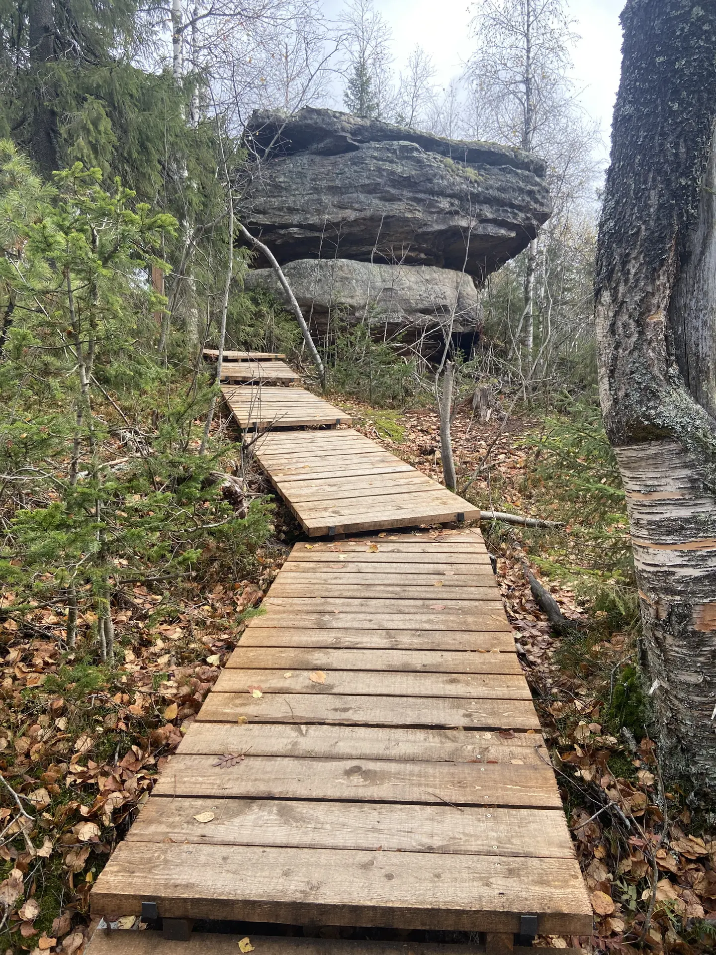 Открытая школа Пермь