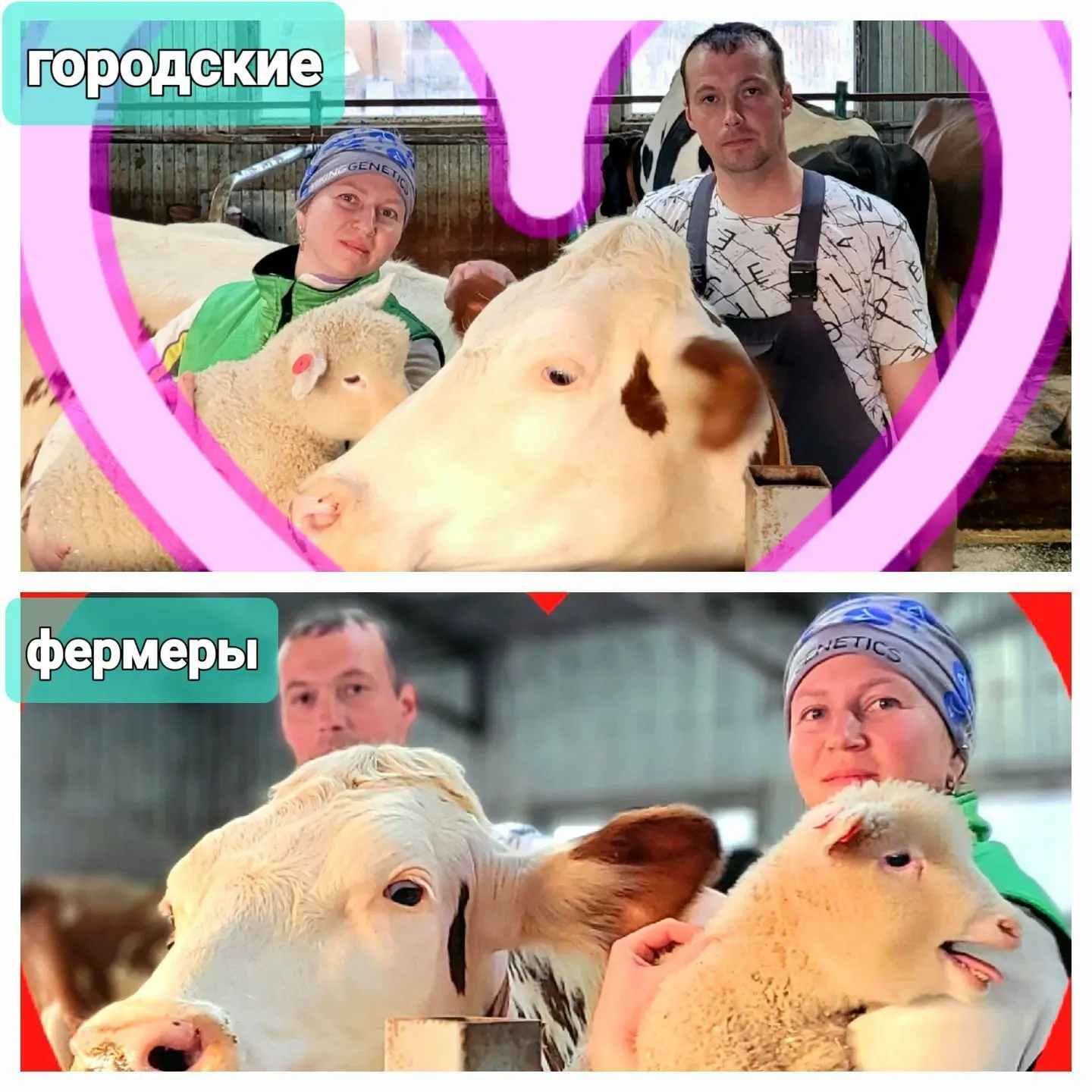 Городские фермеры — канал в мессенджере MAX