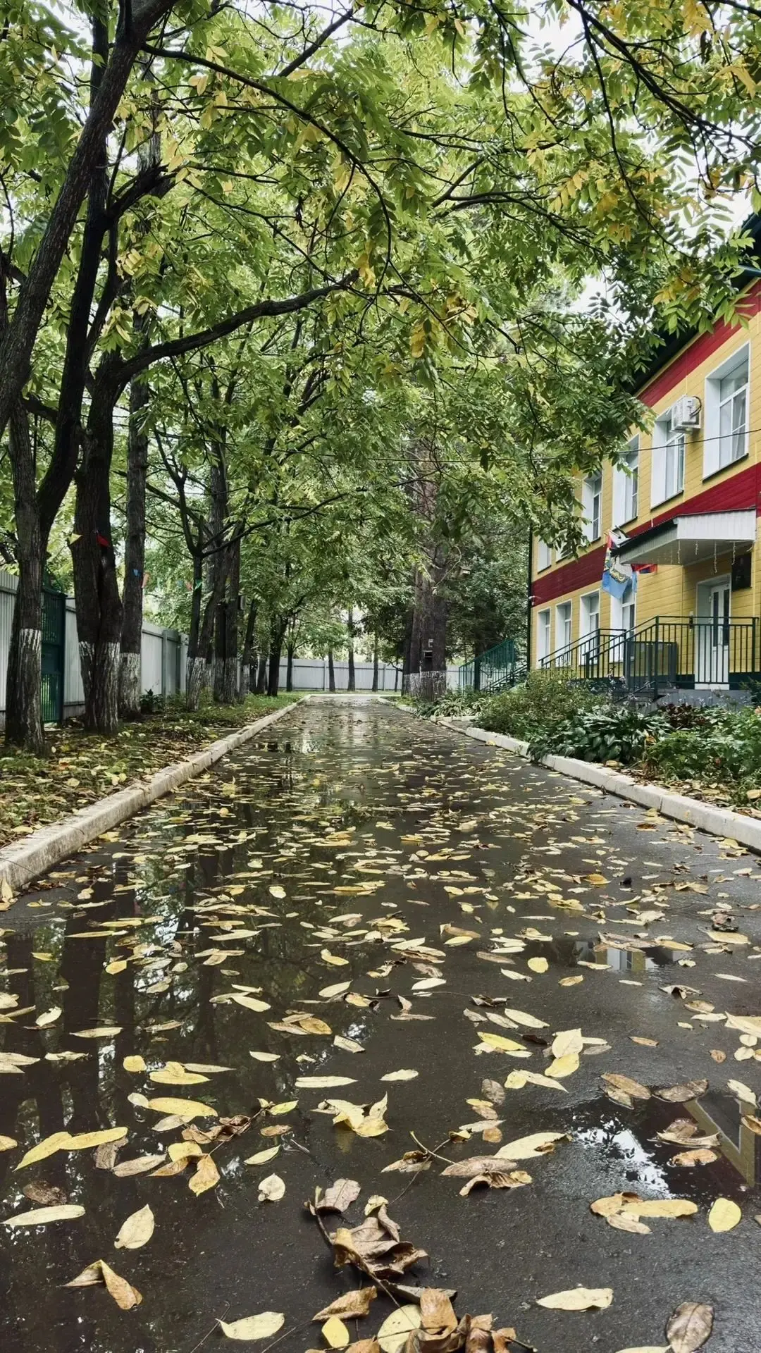 Детский сад № 199 | Хабаровск