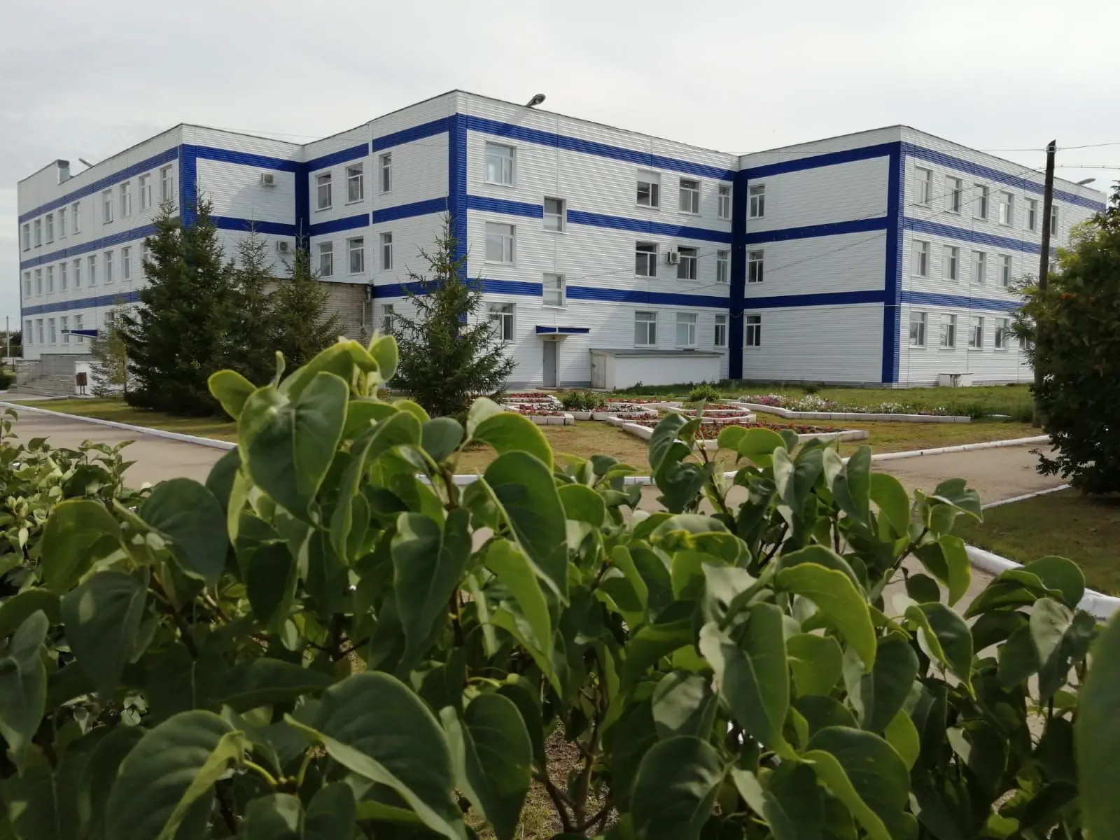 Гимназия с.Ивантеевка