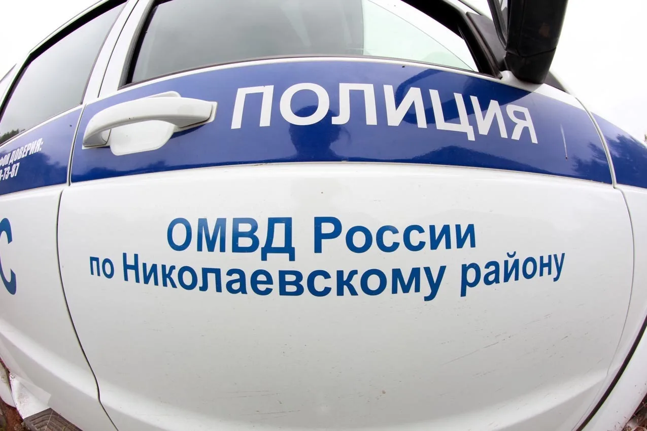 Полиция Николаевского района — канал в мессенджере MAX