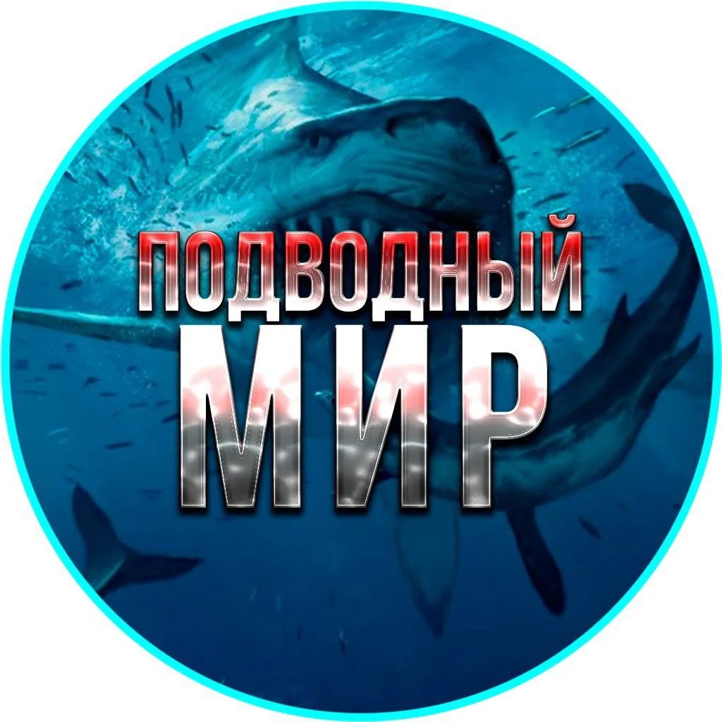 Подводный мир — канал в мессенджере MAX