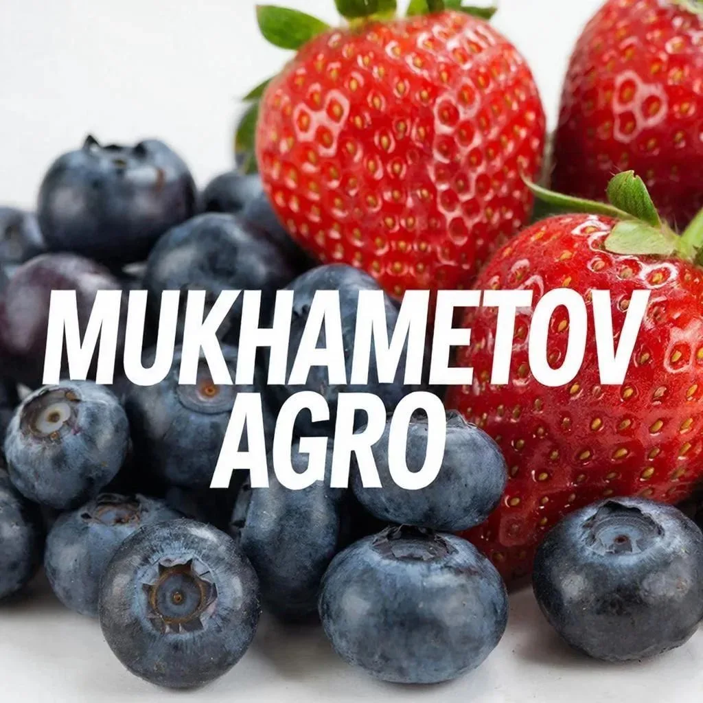 🅜🅤🅗🅐🅜🅔🅣🅞🅥 🅐🅖🅡🅞 — канал в мессенджере MAX