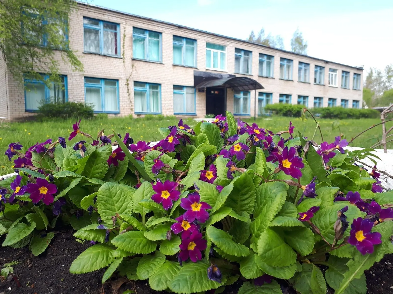 МБОУ "Харлапковская основная школа"