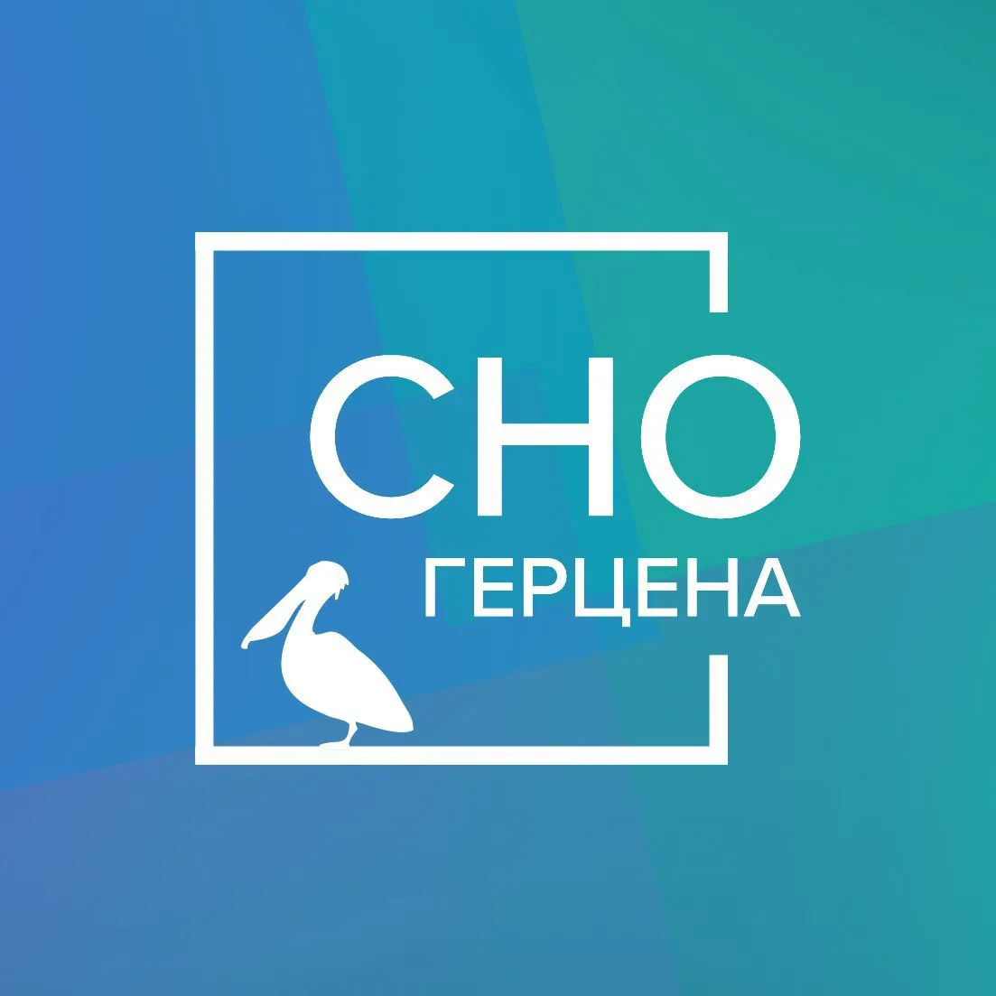 СНО Герцена — канал в мессенджере MAX