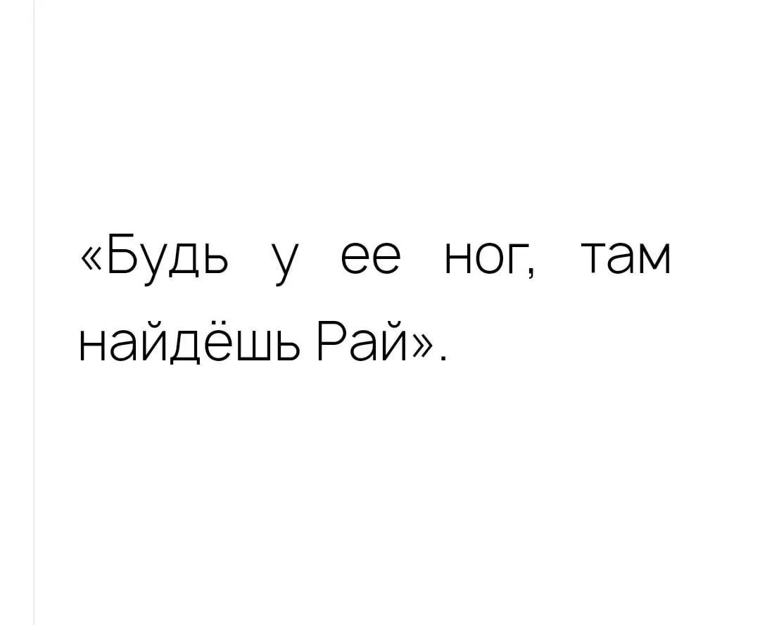 Олег. С Юга. Но Северцев. — канал в мессенджере MAX