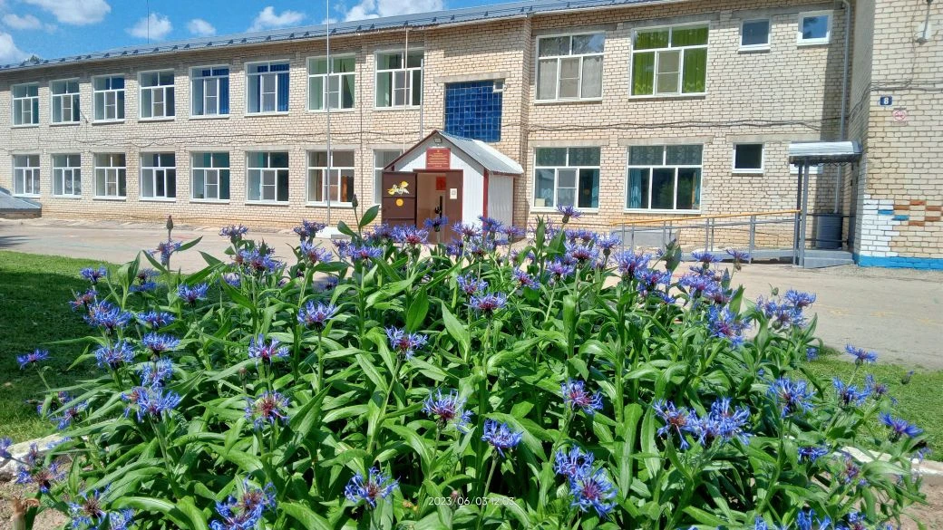 МАОУ "Новомирская ООШ"