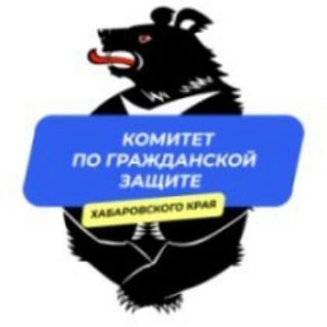 Комитет Правительства Хабаровского края по гражданской защите — канал в мессенджере MAX