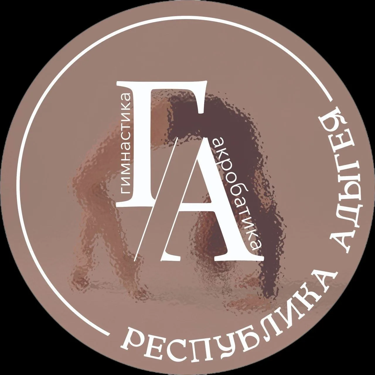 Школа акробатики и гимнастики Республики Адыгея