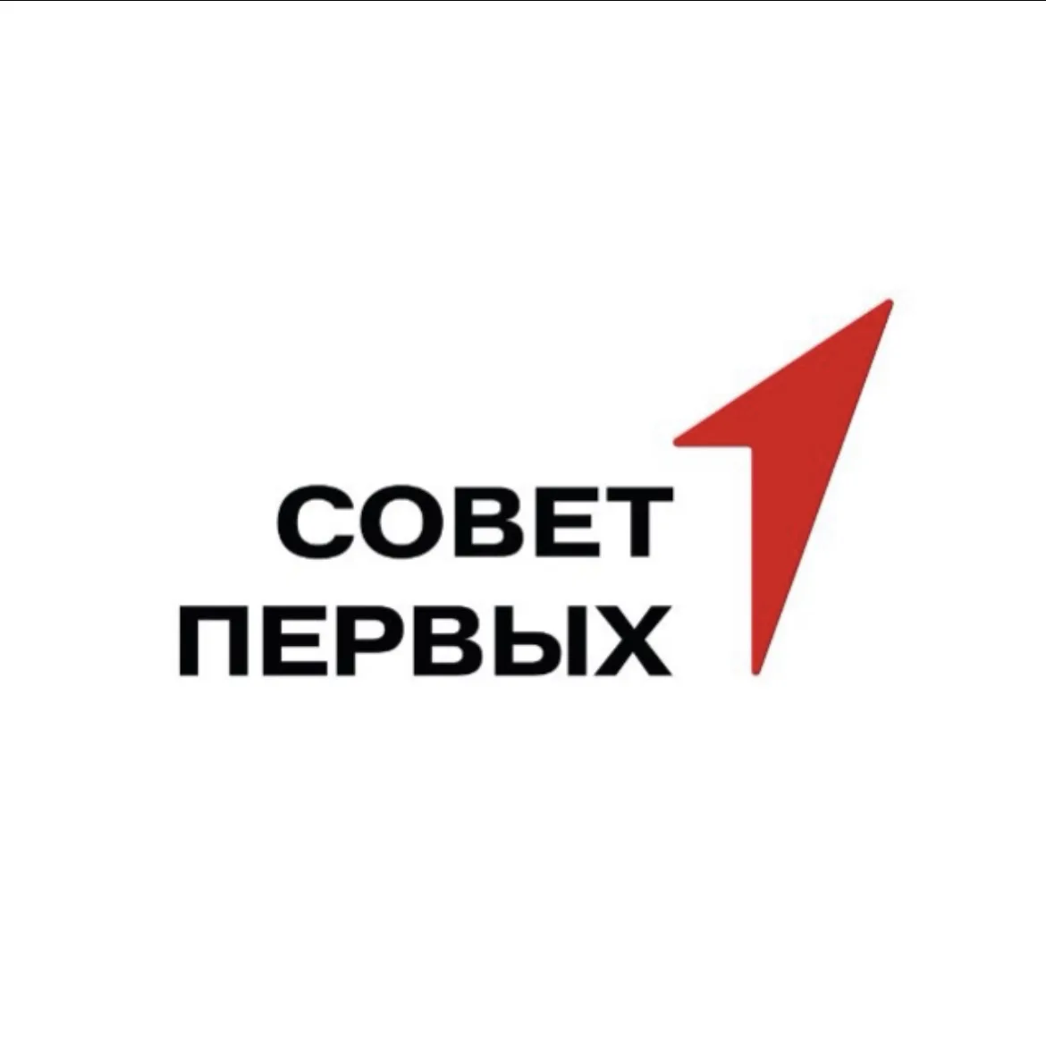 Это Совет Первых — канал в мессенджере MAX