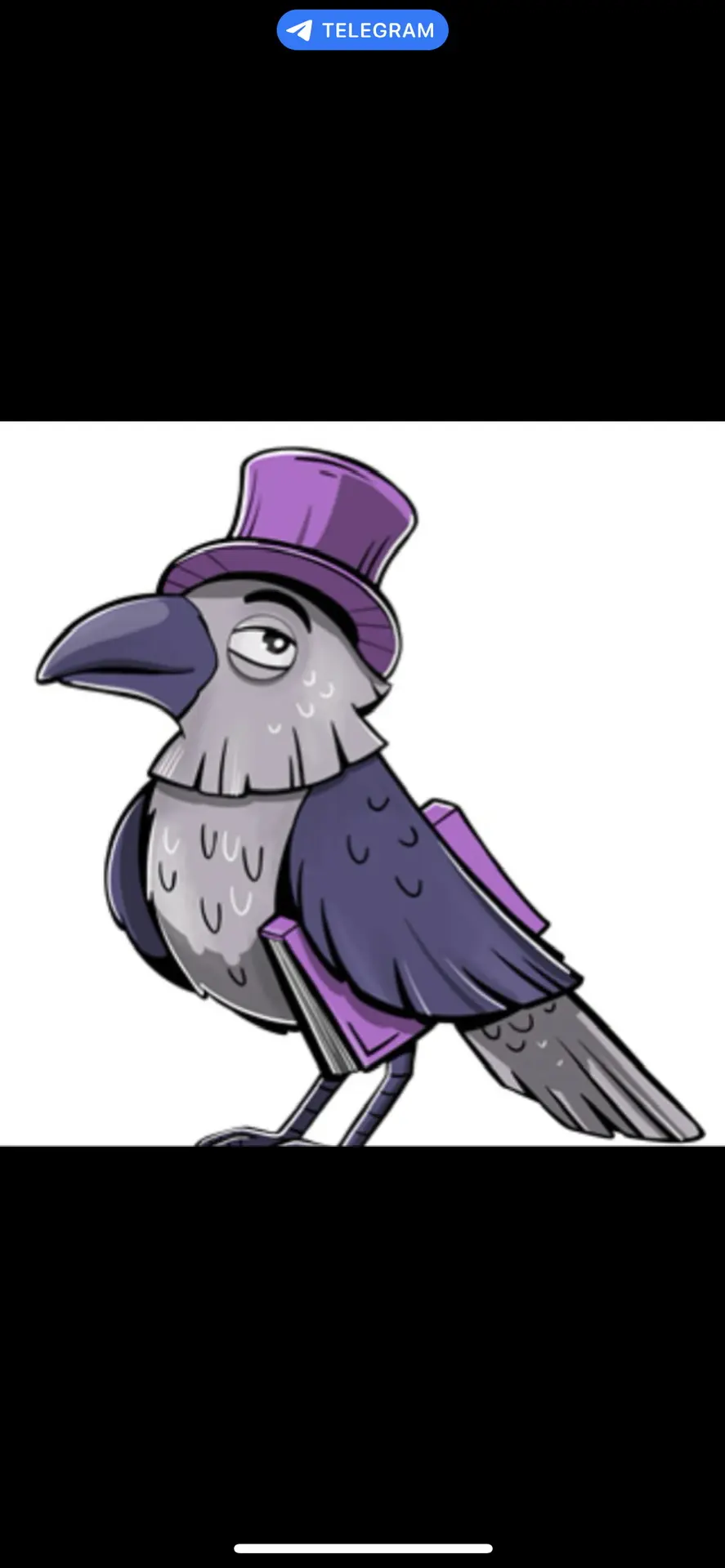 ГБОУ школа № 45 Приморского района СПб