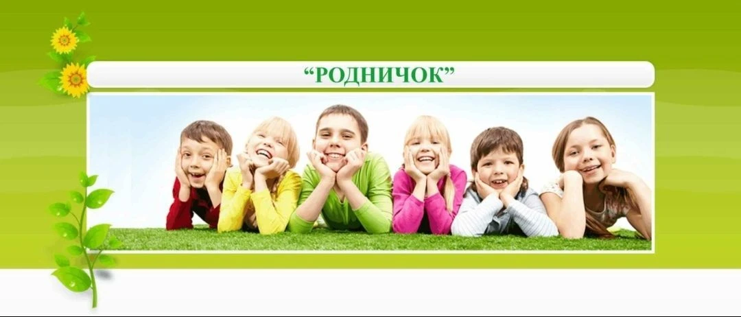 ОГКУ "Костромской СРЦН "Родничок"
