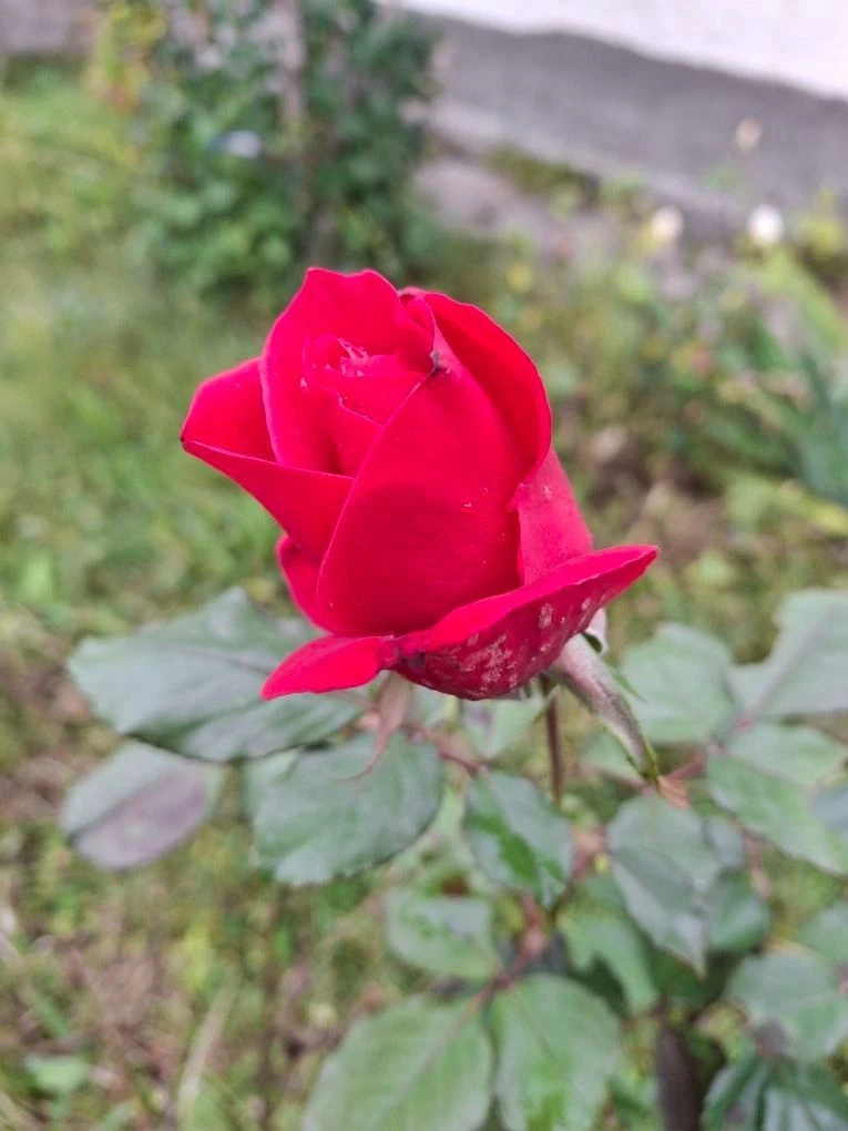 МКДОУ Касумкентский детский сад N1"