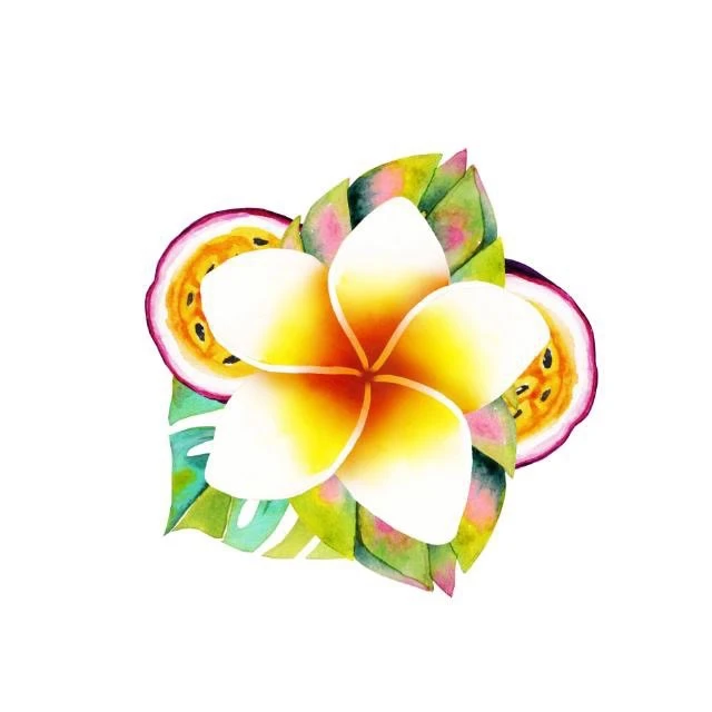 ФЕЛИЦИЯ АГЕНТСТВО ПУТЕШЕСТВИЙ |Туры отели авиабилеты круизы отдых путевки турагентство турфирма Турция Египет ОАЭ Таиланд Мальдивы Вьетнам Куба Индия Сейшелы Китай Япония ЮАР туризм акция горящие туры