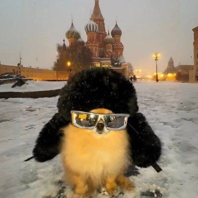 Логотип канала