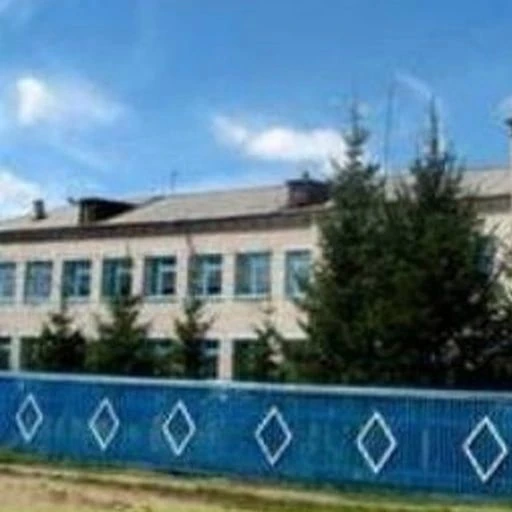 МОУ Семёновская СОШ Свободненский район Амурская область
