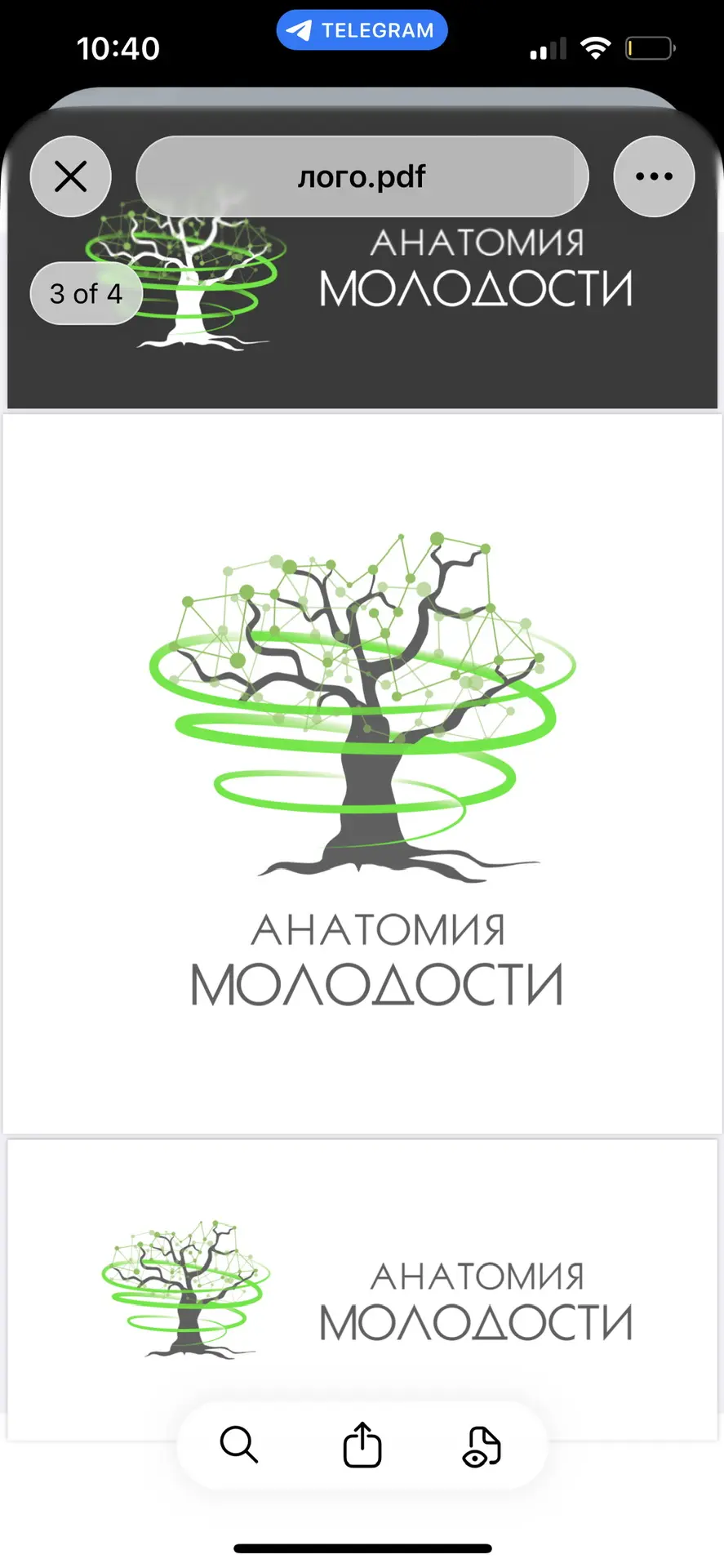 Анатомия молодости