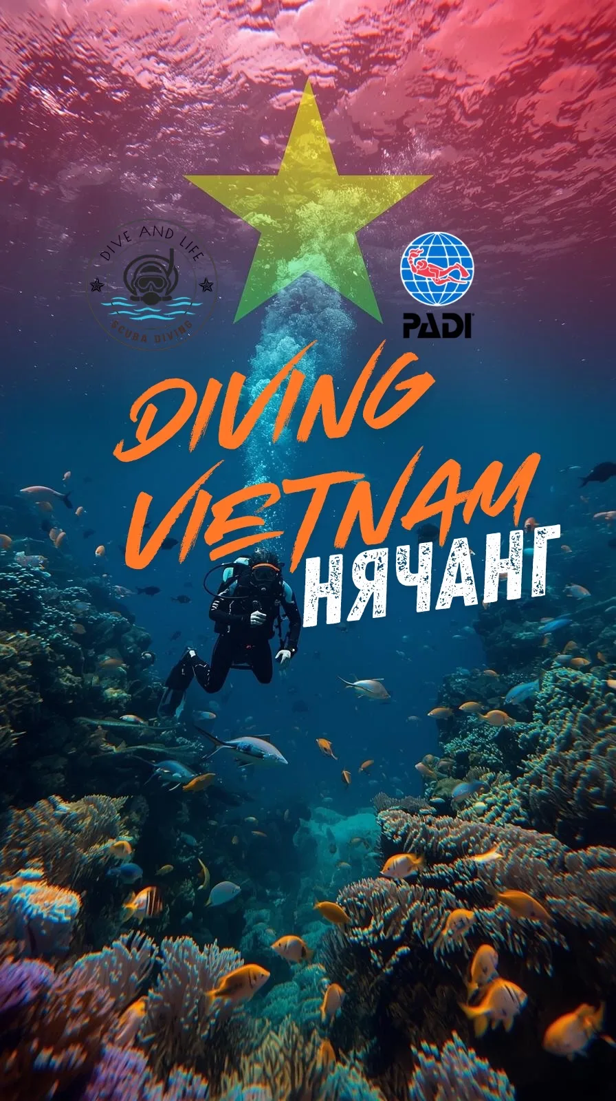 ДАЙВИНГ и курсы PADI Россия 🇷🇺 Вьетнам 🇻🇳  Филиппины 🇵🇭 Мальдивы 🇲🇻 Египет 🇪🇬